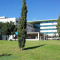 Photo Thumbnail